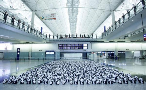 1600隻紙熊貓已經到港。